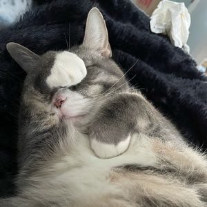 Meet your Posher, Alex